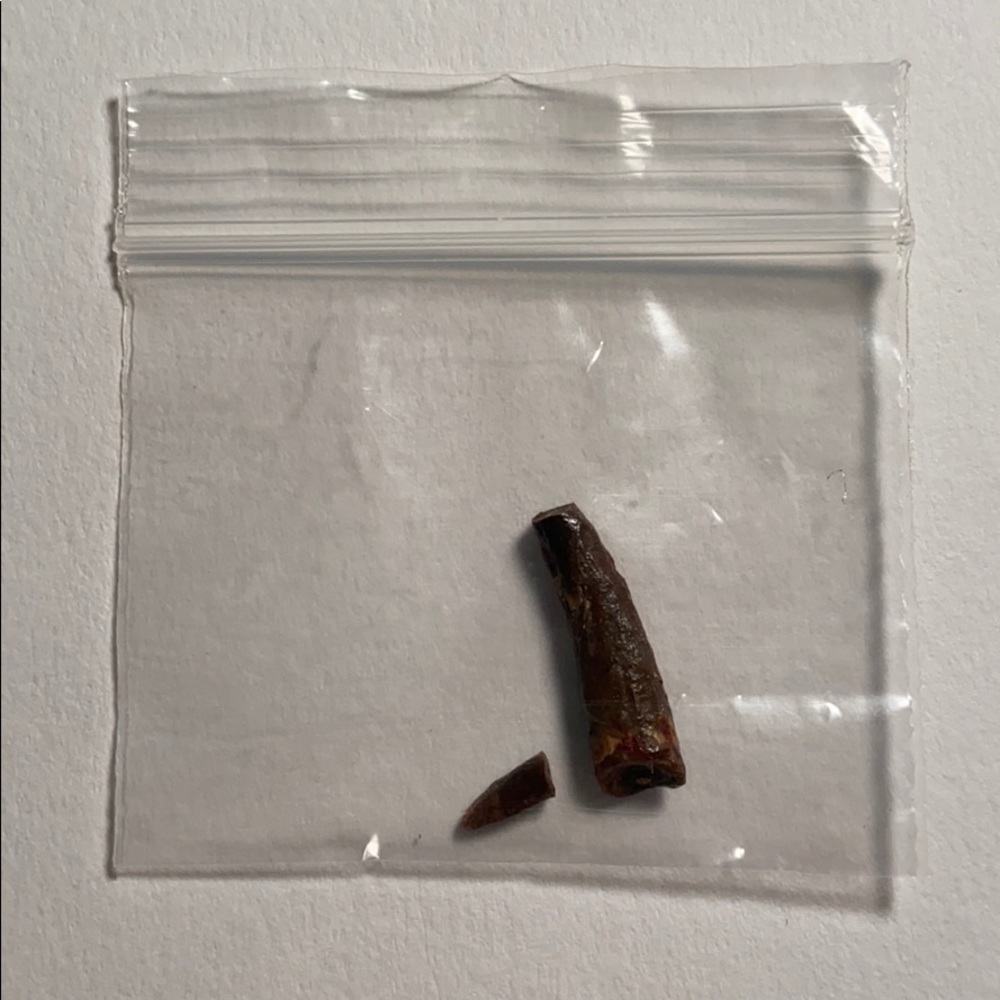 Pterosaur Tooth - Picture 2 of 2